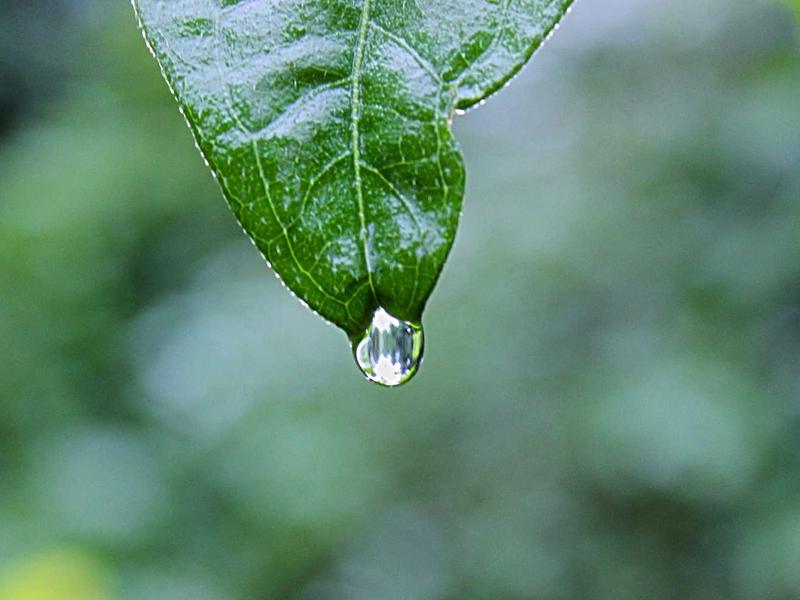 气味图书馆<br>qyw0fsis.cn 雨后泥土芬芳